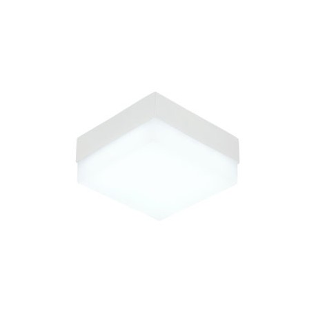 Plafón Cuadrado 24w